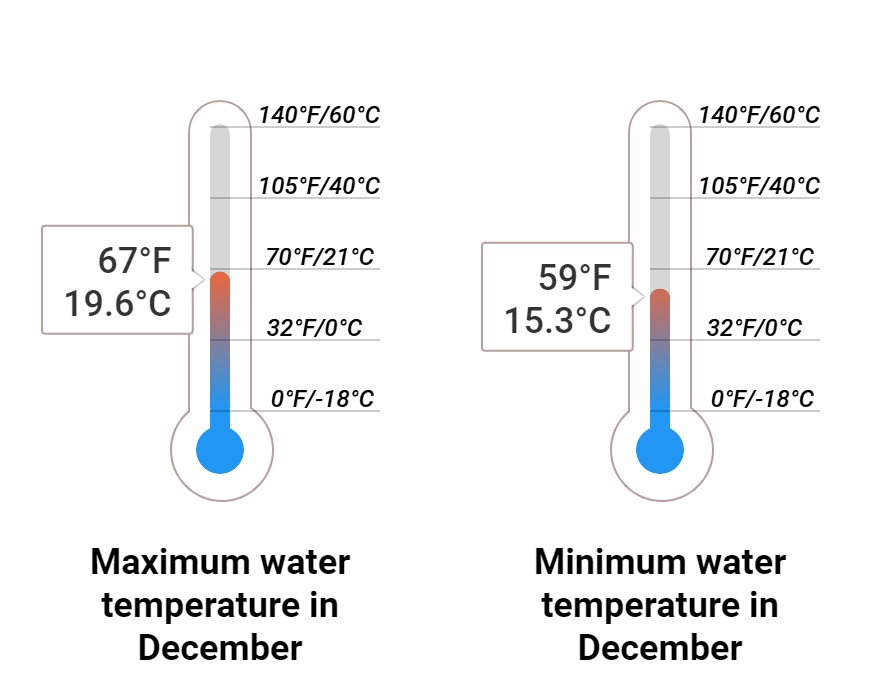 Average Sea temperature